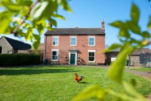 a chicken standing in the grass in front of a house at Broome Park Farm B&B in Cleobury Mortimer