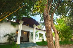Tuli Veer Bagh Resort外面的花园
