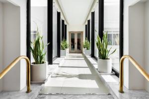 a corridor of a building with potted plants at Plaza Regency Hotels in Sliema