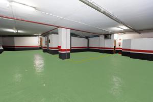 a room with a green floor and water in it at Hotel Zaragoza Royal in Zaragoza