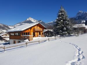 a house with a christmas tree in the snow at Entre Lac Et Montagnes in Bernex