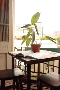 een tafel met een potplant en een open boek bij Hostal Fiorenttina in Valparaíso