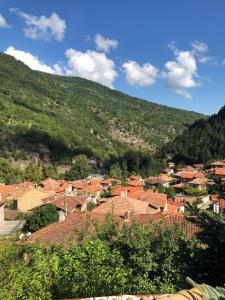 uma aldeia com telhados vermelhos e uma montanha em Ambrozia Spa and Relax family house em Bachkovo