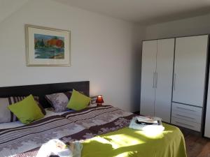 ライヒェンバッハ・イム・フォークトラントにあるApartments Vogtlandblickのベッドルーム1室(黄色と紫の枕付きのベッド1台付)