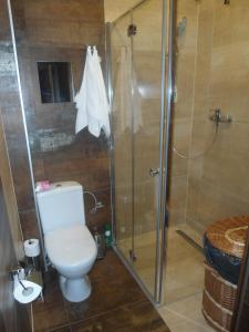 Koupelna v ubytování Luxusni Apartmany Stodolni