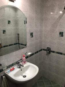 een badkamer met een wastafel en een spiegel bij Ambrozia Spa and Relax family house in Bachkovo