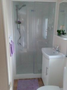 a bathroom with a shower and a toilet and a sink at Mobilheime in Klaffer am Hochficht