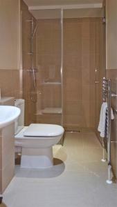 a bathroom with a toilet and a shower at Madison Hill - Fernlea Garden 2 - One bedroom home in London