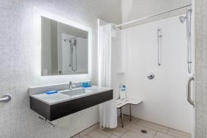 a bathroom with a sink and a mirror and a shower at Holiday Inn Express Columbus - Ohio Expo Center, an IHG Hotel in Columbus