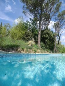 une piscine bleue avec des arbres en arrière-plan dans l'établissement Le Moulin de Varrians, à Rians