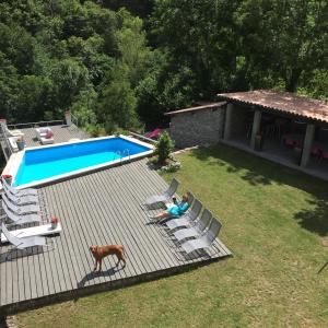 une personne et un chien assis sur une terrasse à côté d'une piscine dans l'établissement L'Xpérience, à Valgorge
