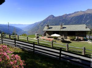 Táj Show holiday homes közelében