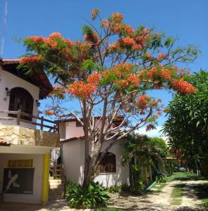 Paracuru Kite Village في باراكورو: شجرة بالورود الحمراء أمام المنزل
