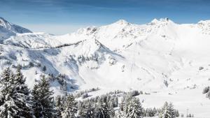 Bel appartement au centre de Champéry avec vue خلال فصل الشتاء