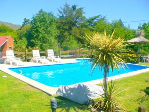 a pool with chairs and a palm tree in a yard at Chalets Los Abedules in Villa General Belgrano