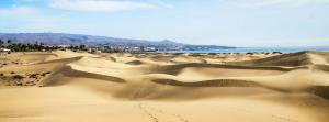 Kép Los Porches Rosario szállásáról Playa del Inglésben a galériában