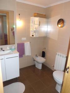 a bathroom with a white toilet and a sink at Apartamento Rio Lavilla in Castañares de Rioja