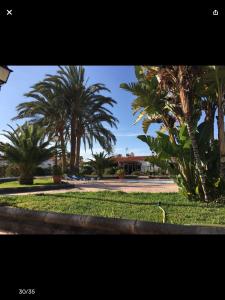 Kép Los Porches Rosario szállásáról Playa del Inglésben a galériában