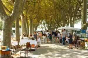 Un groupe de personnes marchant sur un trottoir avec des arbres dans l'établissement Hotel des Etuves, à Montpellier