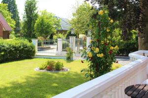 Zahrada ubytování Rosen Villa