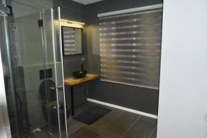 a bathroom with a shower with a toilet and a sink at Penthouse Apartment On The Beach in Bat Yam