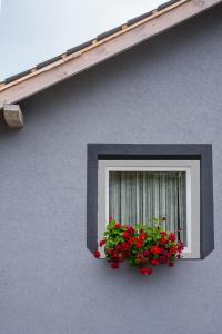 Una ventana de una casa con flores rojas. en Orchidea Apartman en Balatonkenese