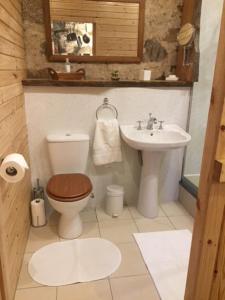 a bathroom with a toilet and a sink at The Barn | Aberlour in Aberlour