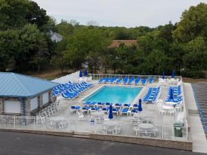 uma grande piscina com cadeiras e cadeiras azuis e brancas em Put-in-Bay Waterfront Condo #103 em Put-in-Bay
