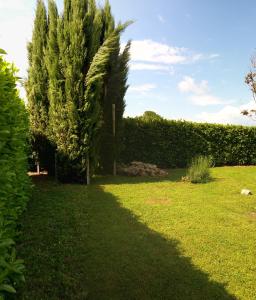 En trädgård utanför A Viterbo Terme "Casa Vacanze Al Melograno"