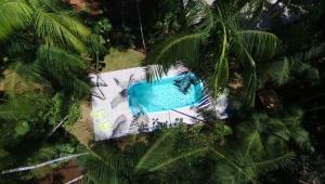 an overhead view of a swimming pool in the middle of trees at Surucua Reserva & Ecolodge in Comandante Andresito