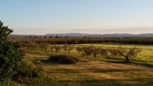 Billede fra billedgalleriet på Agriturismo La Corte - Viterbo Terme i Viterbo