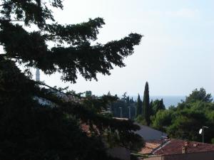 - une vue sur l'océan à travers les branches d'un arbre dans l'établissement Apartment Diana, à Rovinj