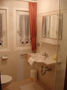 a bathroom with a sink and a toilet at Appartamenti Hacoli in Selva di Val Gardena