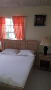 Postel nebo postele na pokoji v ubytování Sue's Homestay