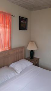 Postel nebo postele na pokoji v ubytování Sue's Homestay