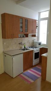 a kitchen with a sink and a stove at Apartmány Račianska in Bratislava