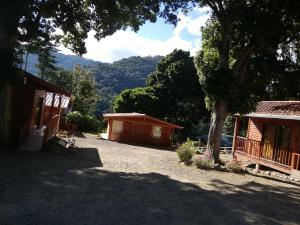 einen Hof mit zwei kleinen Gebäuden und einem Baum in der Unterkunft Cabañas San Gerardo in San Gerardo de Dota