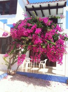 un ramo de flores rosas al lado de un edificio en Apartamentos Blue Beach Menorca en Cala en Blanes