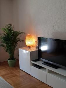 TV i/ili zabavni centar u objektu Apartment Magnolia