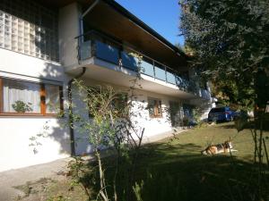 a dog laying in the grass next to a building at Ferienwohnung Rößler in Markdorf
