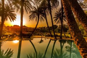 a pool with palm trees and the sunset in the background at Dev Shree Deogarh in Devgarh