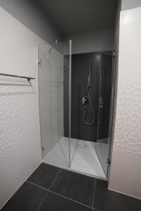 a shower stall with a glass door in a bathroom at Villa Mangó in Balatongyörök
