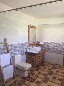 un bagno con lavandino, WC e specchio di Global Family Resort - Saboo - Leh a Leh
