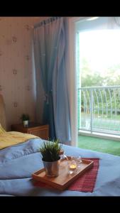 a tray with a plant on a bed next to a window at Gone Fishin' @ Kuala Selangor ( 2 min to Sky Mirror Jetty) in Kuala Selangor