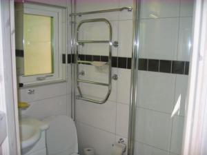 a bathroom with a shower with a toilet and a sink at Strandstugan in Degeberga
