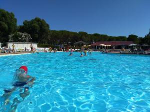 a group of people swimming in a swimming pool at Camping Arcobaleno in Marina di Bibbona