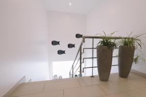 two potted plants sitting on top of a staircase at Sao Vicente Lodge - Atlantic Retreat in São Vicente Ferreira