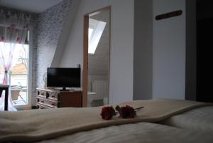 TV a/nebo společenská místnost v ubytování Hotel Garni Nolting