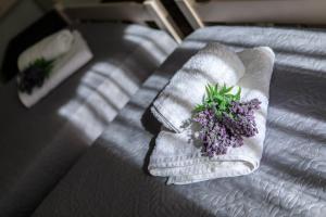 Φωτογραφία από το άλμπουμ του Pansion Kaloyiannis στο Πατητήρι