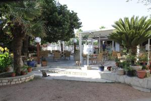 a patio with a cat sitting on the ground with plants at Camping Cavallo Morto in Bonifacio